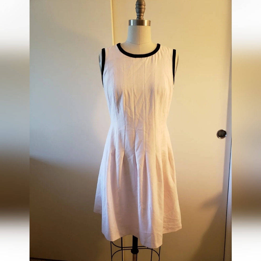 Lark & Ro Light Pink Sleeveless Fit and Flare Pleated Dress with Pockets Size 8